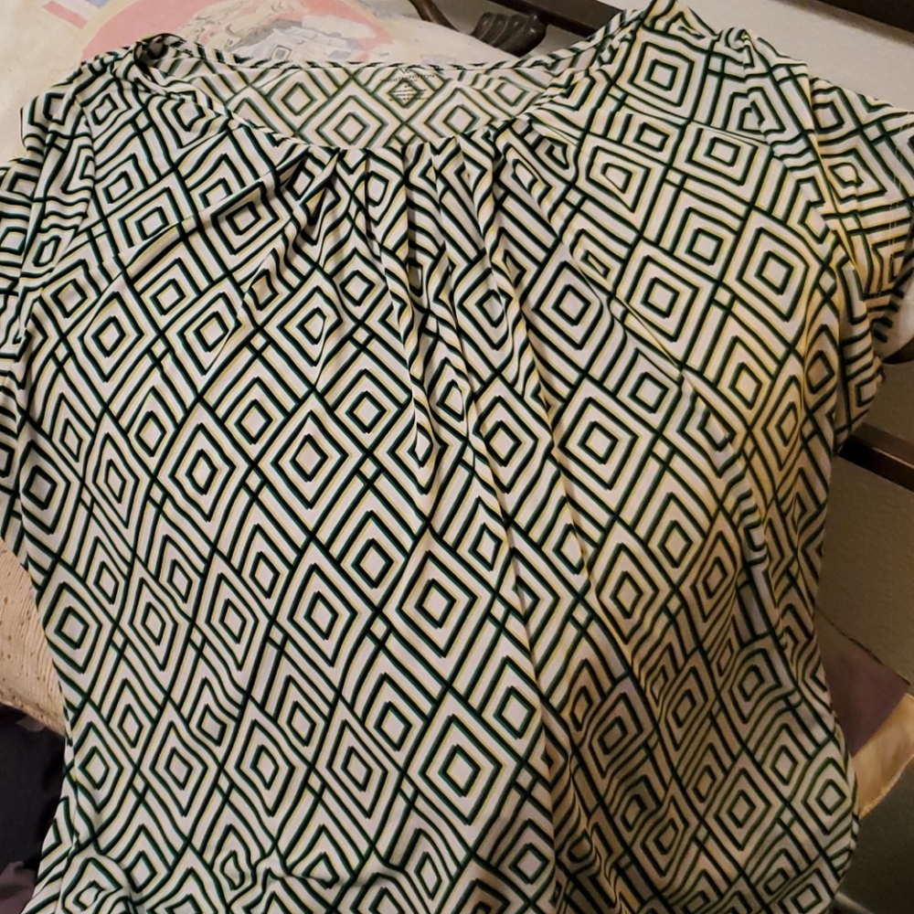 Green and white blouse